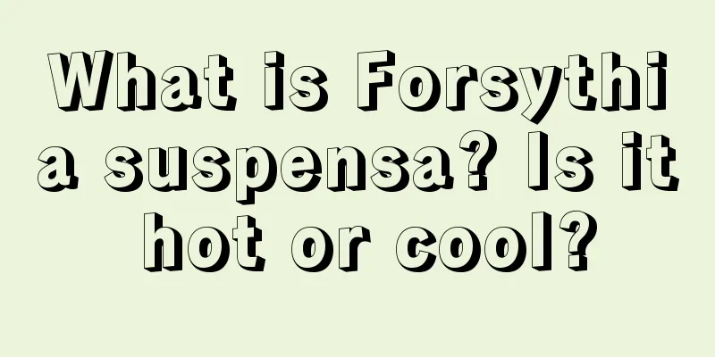 What is Forsythia suspensa? Is it hot or cool?