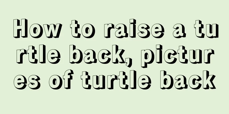 How to raise a turtle back, pictures of turtle back