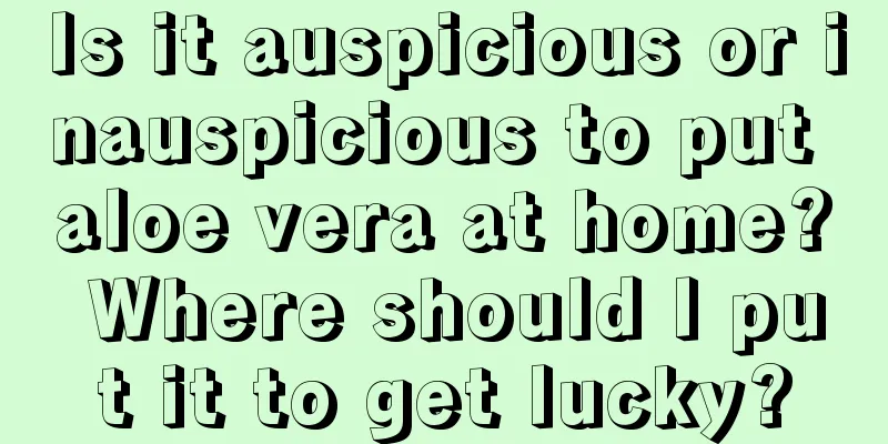 Is it auspicious or inauspicious to put aloe vera at home? Where should I put it to get lucky?