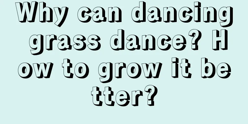 Why can dancing grass dance? How to grow it better?