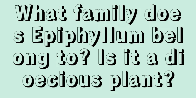 What family does Epiphyllum belong to? Is it a dioecious plant?