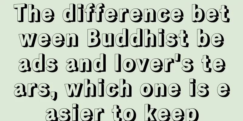 The difference between Buddhist beads and lover's tears, which one is easier to keep