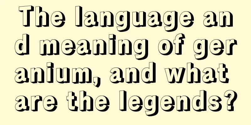 The language and meaning of geranium, and what are the legends?