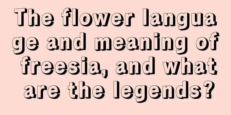 The flower language and meaning of freesia, and what are the legends?