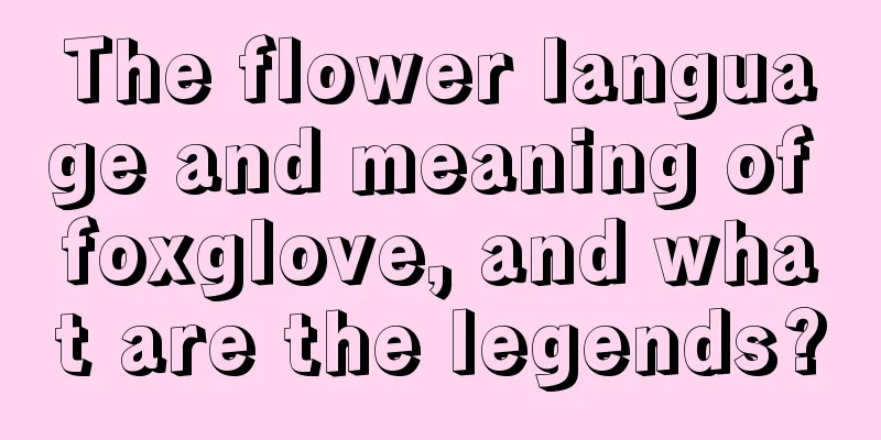 The flower language and meaning of foxglove, and what are the legends?