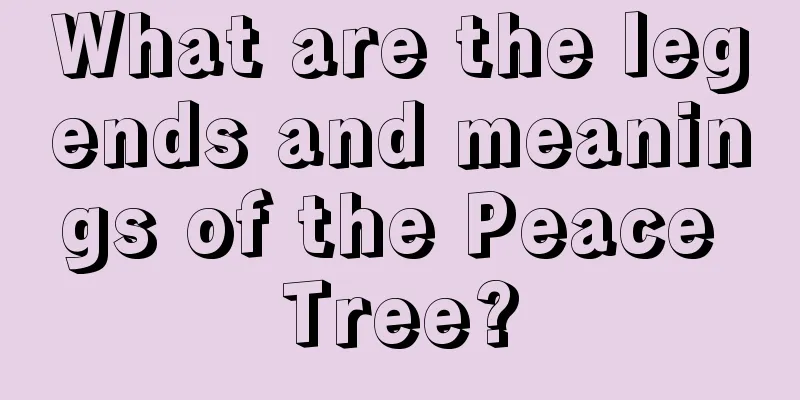 What are the legends and meanings of the Peace Tree?