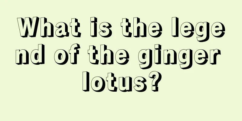 What is the legend of the ginger lotus?