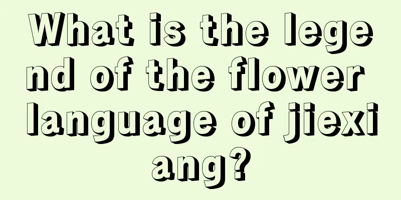 What is the legend of the flower language of jiexiang?