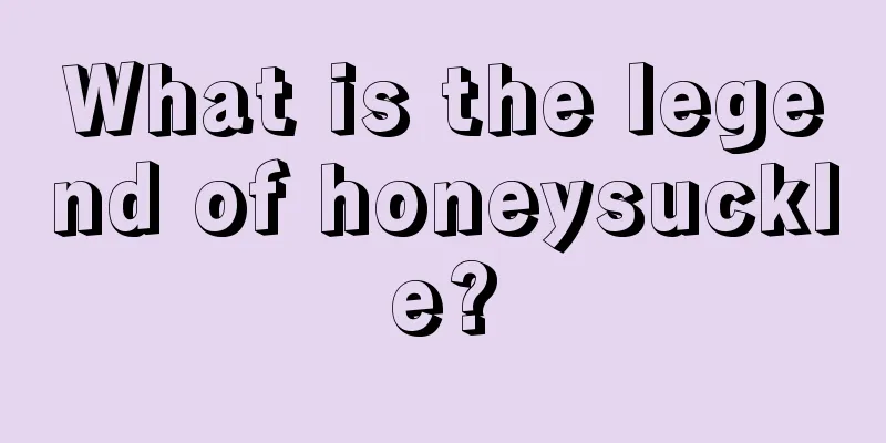 What is the legend of honeysuckle?