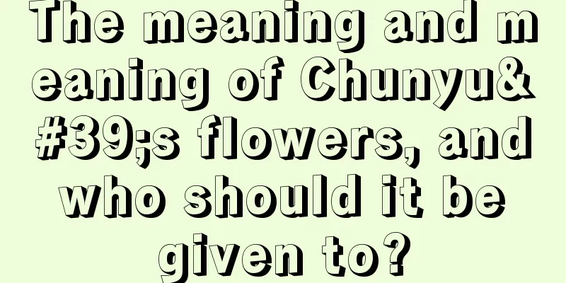 The meaning and meaning of Chunyu's flowers, and who should it be given to?