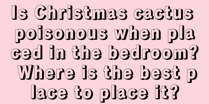 Is Christmas cactus poisonous when placed in the bedroom? Where is the best place to place it?