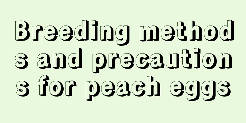 Breeding methods and precautions for peach eggs