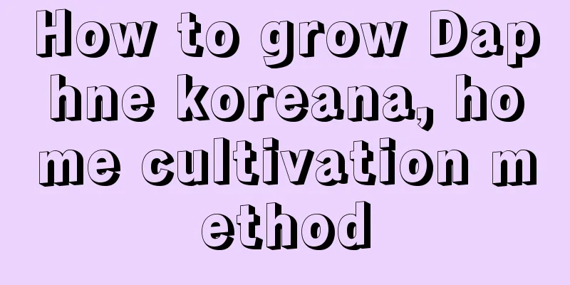 How to grow Daphne koreana, home cultivation method