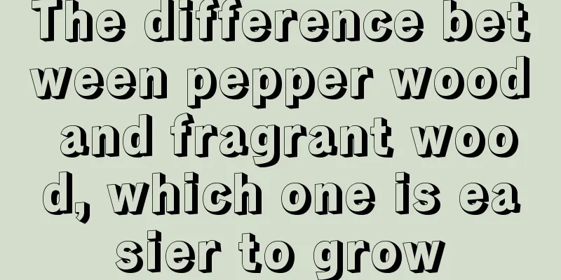 The difference between pepper wood and fragrant wood, which one is easier to grow