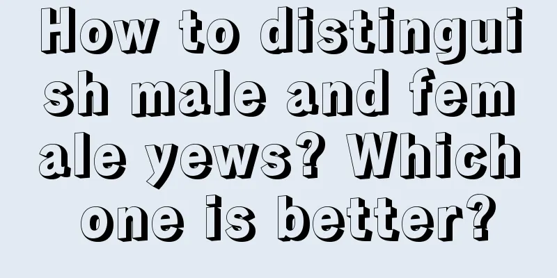 How to distinguish male and female yews? Which one is better?