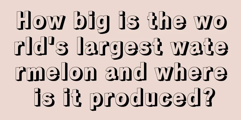 How big is the world's largest watermelon and where is it produced?