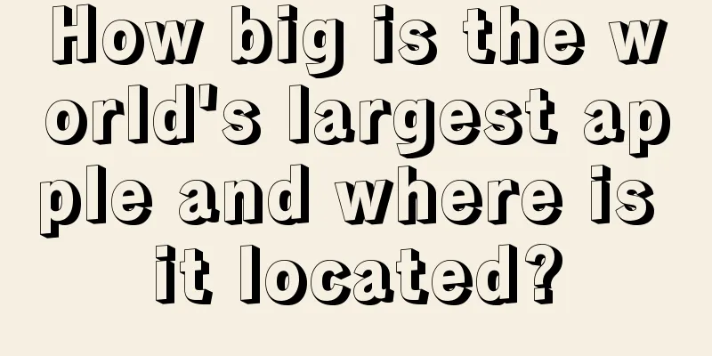 How big is the world's largest apple and where is it located?