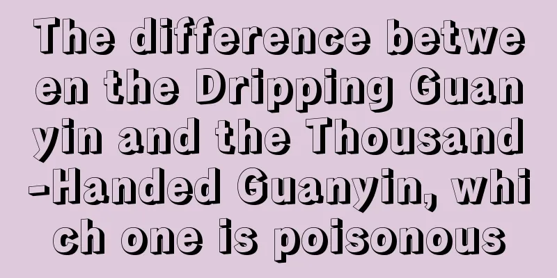 The difference between the Dripping Guanyin and the Thousand-Handed Guanyin, which one is poisonous