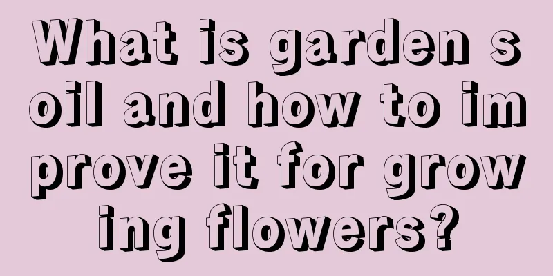 What is garden soil and how to improve it for growing flowers?