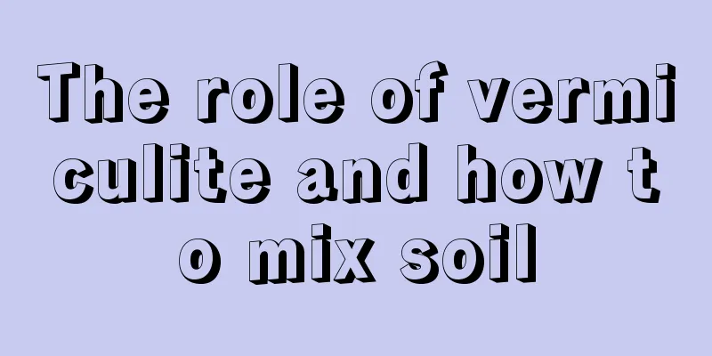 The role of vermiculite and how to mix soil