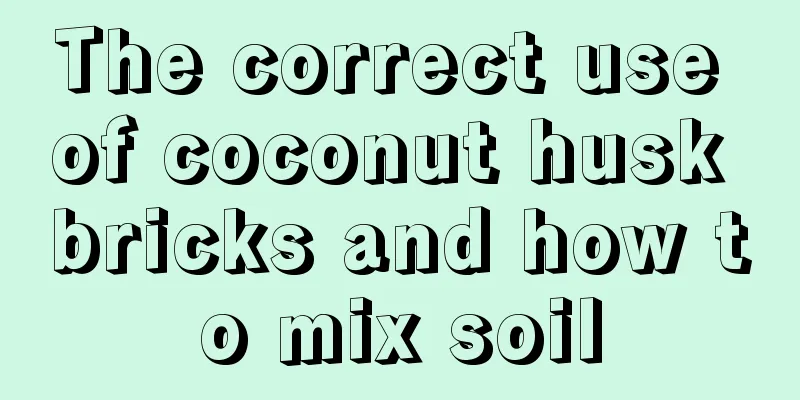 The correct use of coconut husk bricks and how to mix soil