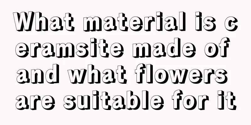 What material is ceramsite made of and what flowers are suitable for it