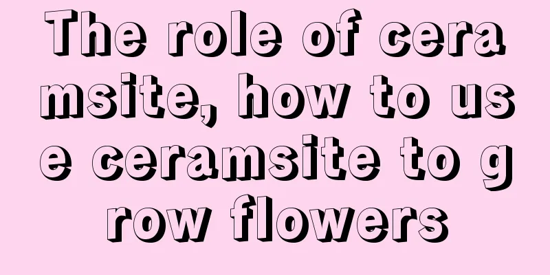 The role of ceramsite, how to use ceramsite to grow flowers