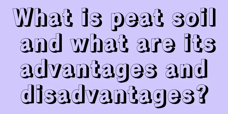 What is peat soil and what are its advantages and disadvantages?