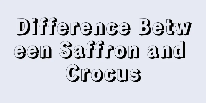 Difference Between Saffron and Crocus