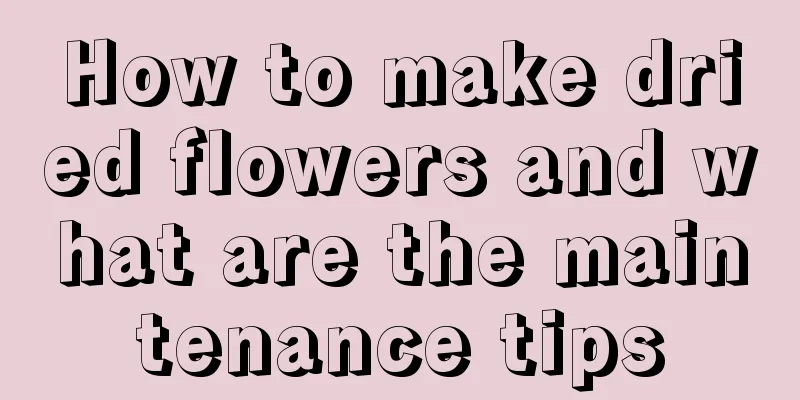 How to make dried flowers and what are the maintenance tips