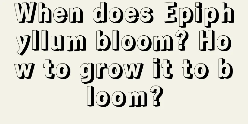 When does Epiphyllum bloom? How to grow it to bloom?