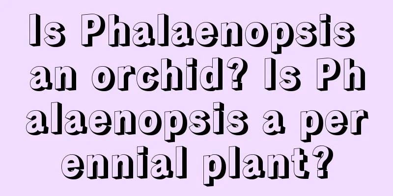 Is Phalaenopsis an orchid? Is Phalaenopsis a perennial plant?