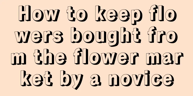 How to keep flowers bought from the flower market by a novice