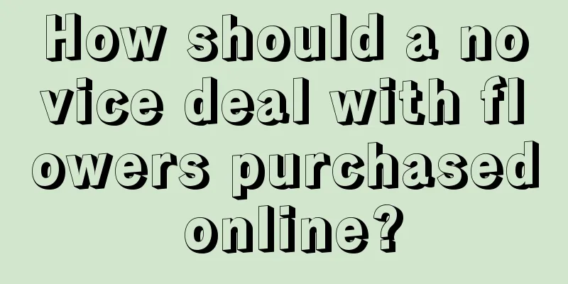 How should a novice deal with flowers purchased online?