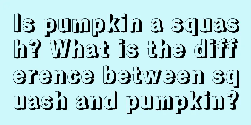 Is pumpkin a squash? What is the difference between squash and pumpkin?