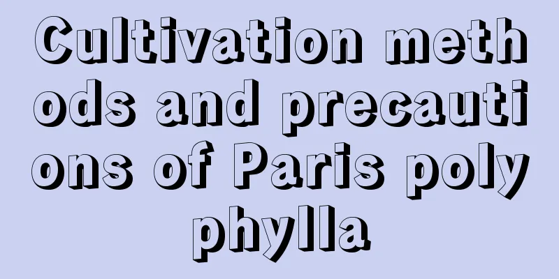 Cultivation methods and precautions of Paris polyphylla