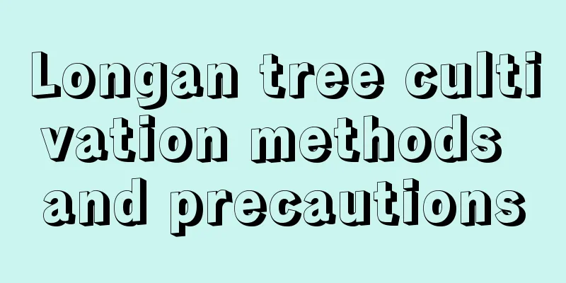 Longan tree cultivation methods and precautions