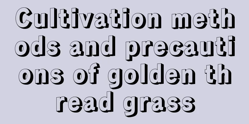 Cultivation methods and precautions of golden thread grass