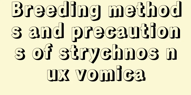 Breeding methods and precautions of strychnos nux vomica