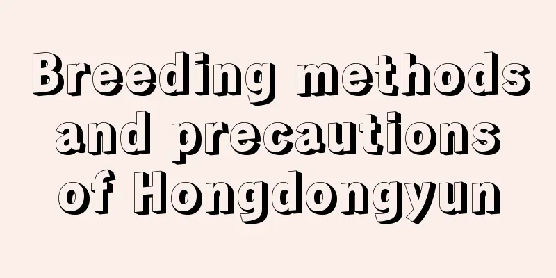 Breeding methods and precautions of Hongdongyun