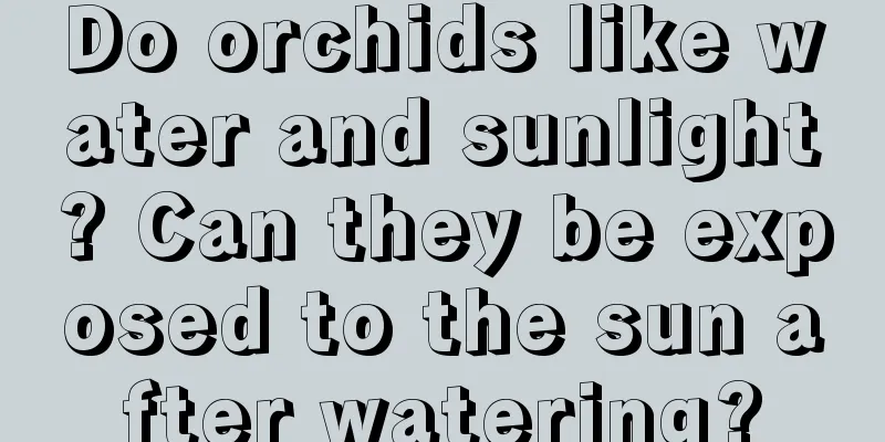 Do orchids like water and sunlight? Can they be exposed to the sun after watering?