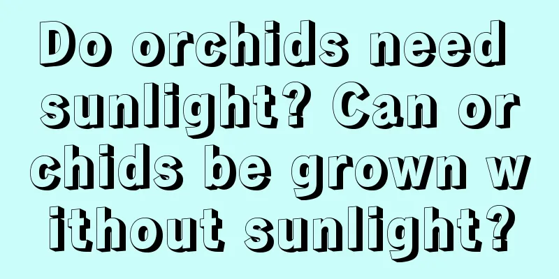 Do orchids need sunlight? Can orchids be grown without sunlight?