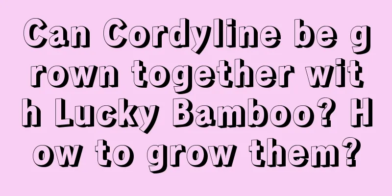 Can Cordyline be grown together with Lucky Bamboo? How to grow them?