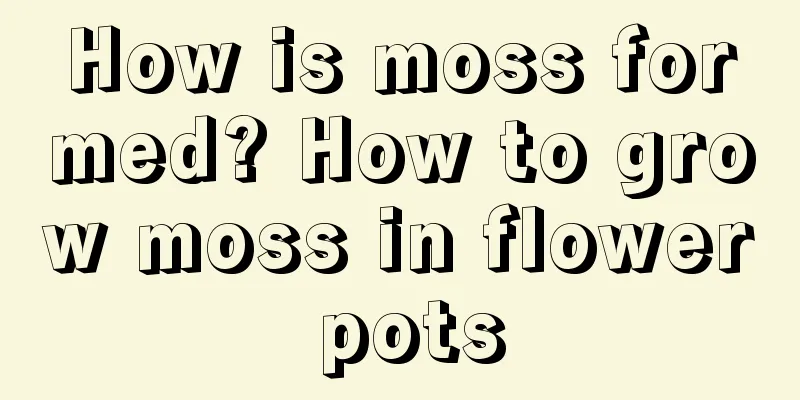 How is moss formed? How to grow moss in flower pots