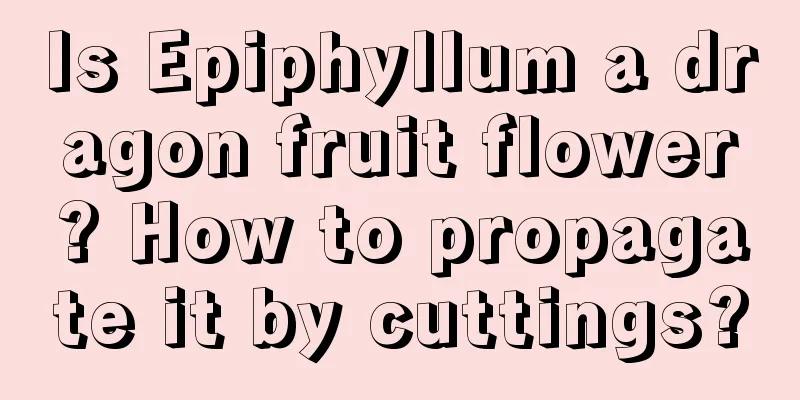 Is Epiphyllum a dragon fruit flower? How to propagate it by cuttings?