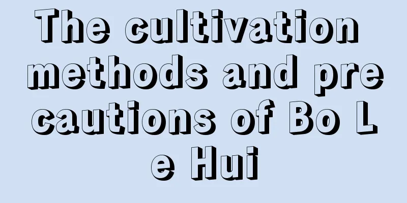 The cultivation methods and precautions of Bo Le Hui