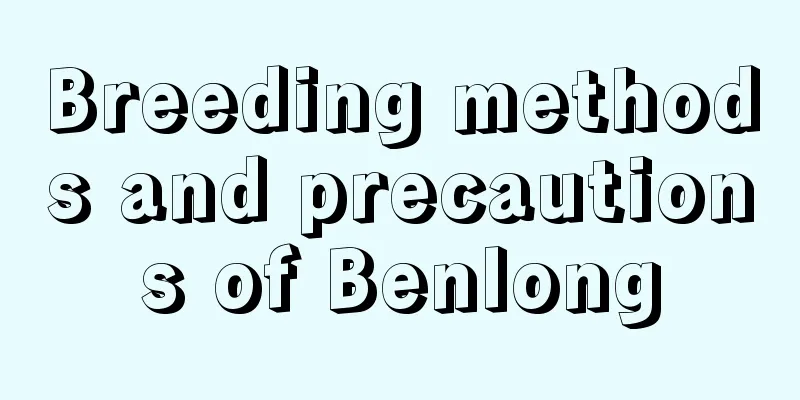 Breeding methods and precautions of Benlong