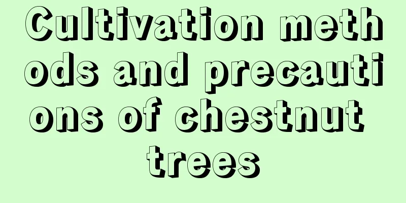 Cultivation methods and precautions of chestnut trees