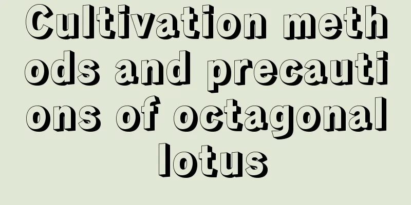 Cultivation methods and precautions of octagonal lotus