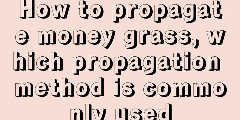 How to propagate money grass, which propagation method is commonly used